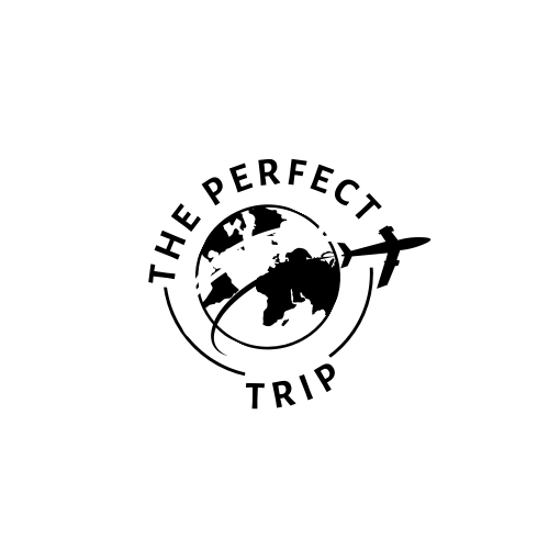 À propos de ThePerfectTrip